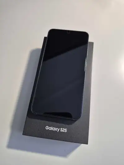 Samsung Galaxy S25, View more