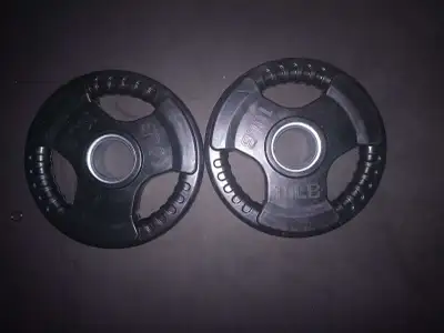 10 pound weighted plate pair, View more