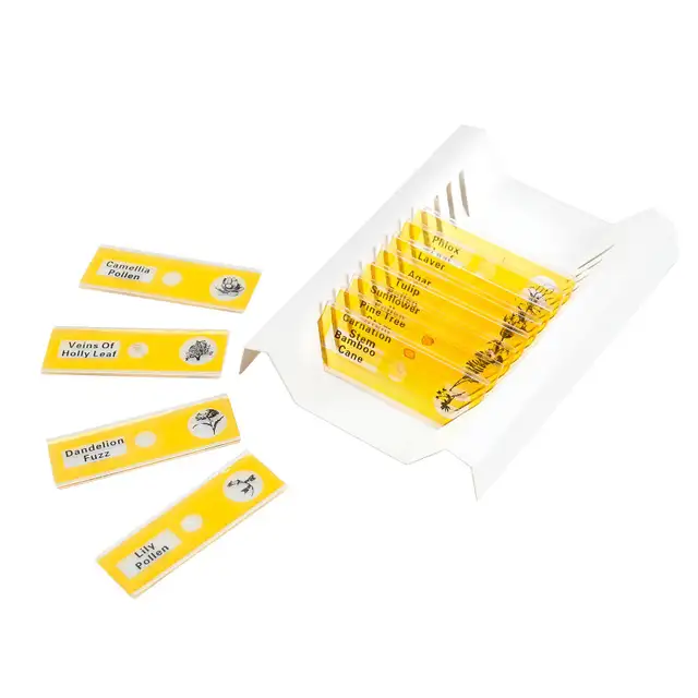 Educational Insights GeoSafari Microscope Slide Set in Toys & Games in City of Montréal - Image 3