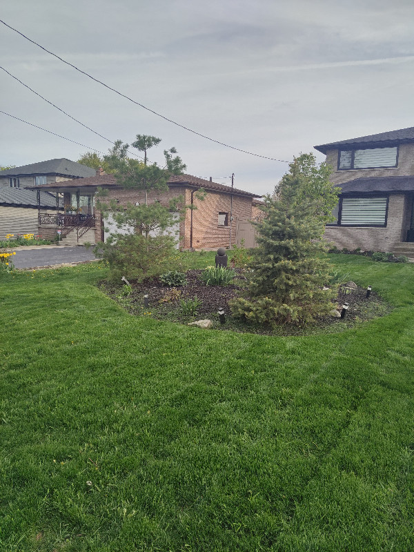 LAWNCARE & LANDSCAPING in Lawn, Tree Maintenance & Eavestrough in Hamilton - Image 2