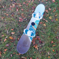 Burton Snowboard (150cm) with ROXY Bindings $285