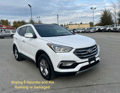 Buying $ Hyundai and Kia ( Running or Damaged)