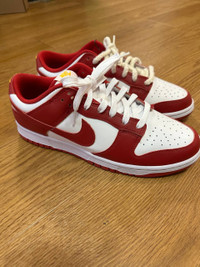 Nike Dunk Low Retro - Gym Red / DD1391-602 / Mens Sneakers Shoes