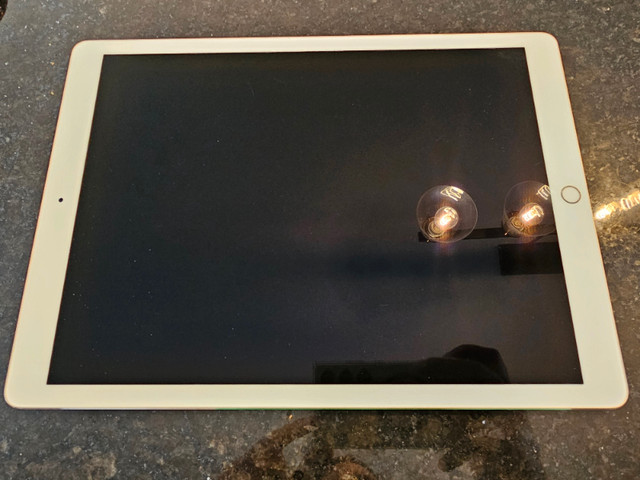 IPad Pro 12.9 inch (2nd Gen) + Apple pencil dans iPad et tablettes  à Sherbrooke - Image 2