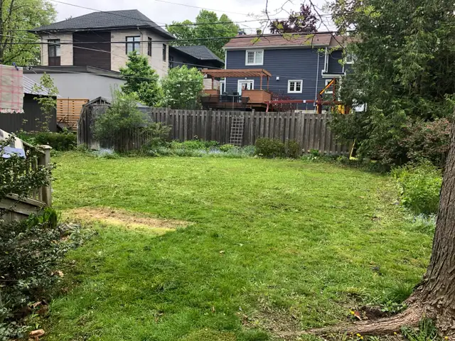 Fall Raking & Cleanup (Grade 11 Student)561546755446548482