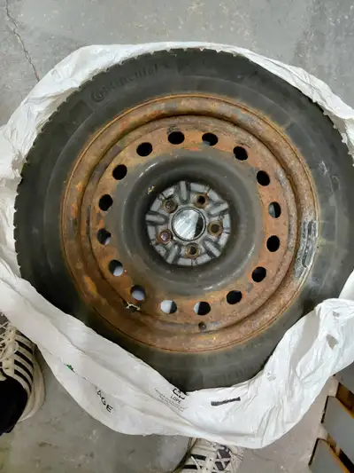 I have 4 winter tires for sale. Continental 205/55 R16