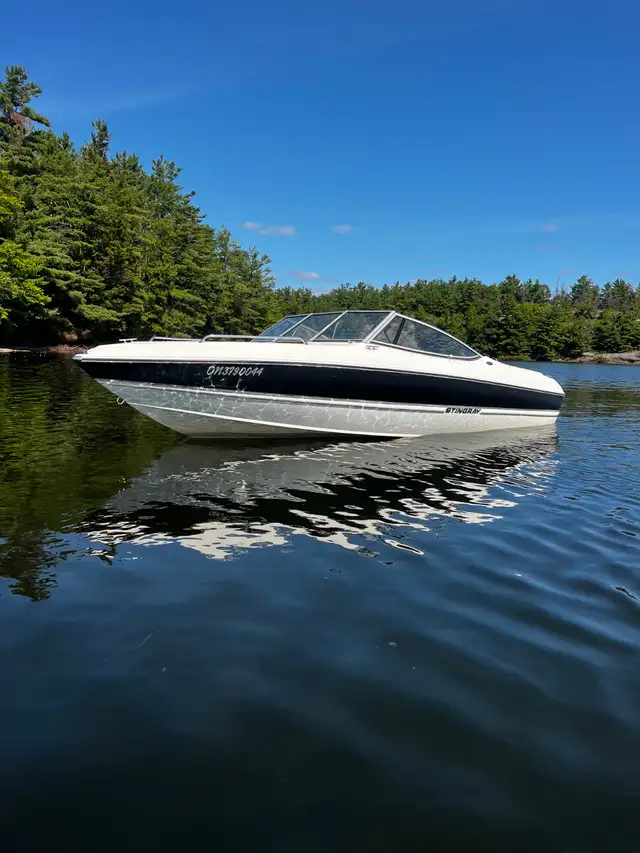 2013 Stingray 195LX in Other in Muskoka - Image 2