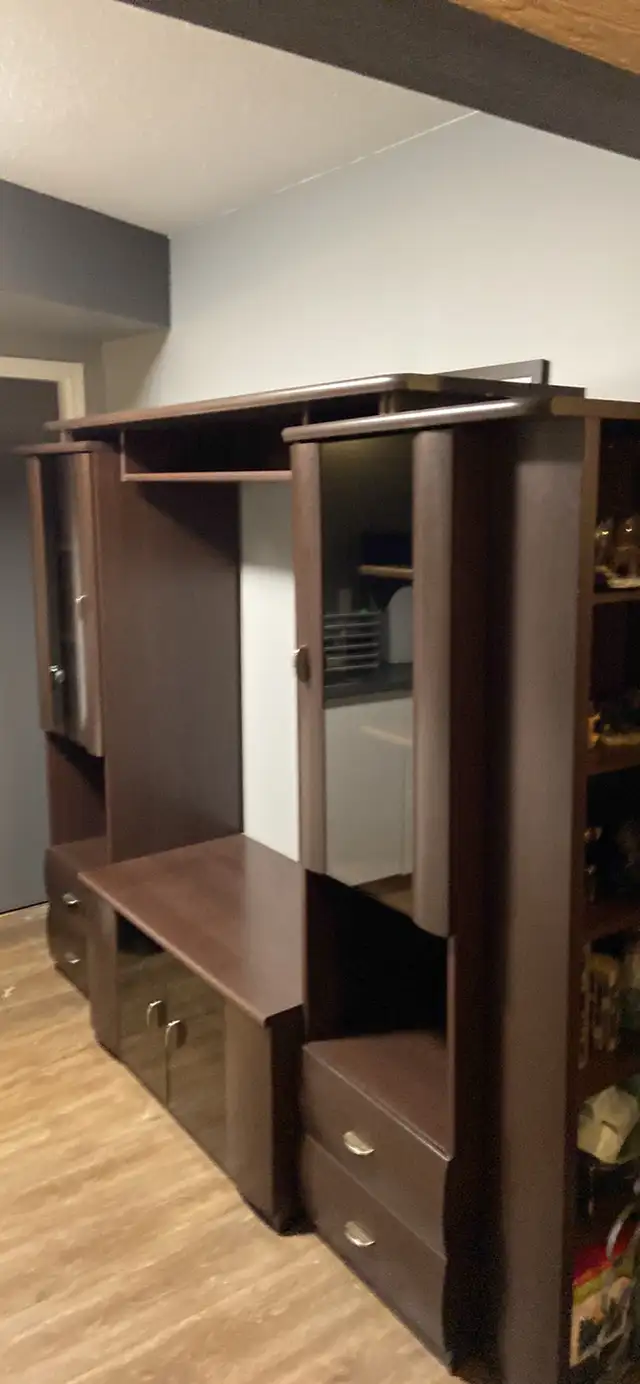 Entertainment Centre  in TV Tables & Entertainment Units in Revelstoke - Image 2