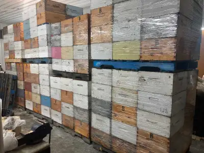Honey Supers with fresh and used comb. Approximately 300 available. Call or text