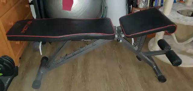 MOTV8 Weight Bench - Pretty much brand new -  Hardly used in Exercise Equipment in Ottawa - Image 6