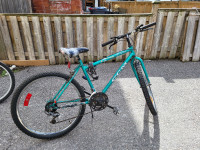 Turquoise CCM Bike