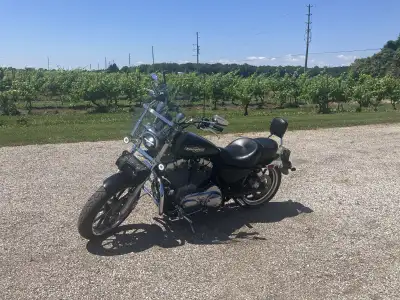 883 XL Sportster with 27,000 km. This bike is in mint condition along with new tires, tool bag and V...