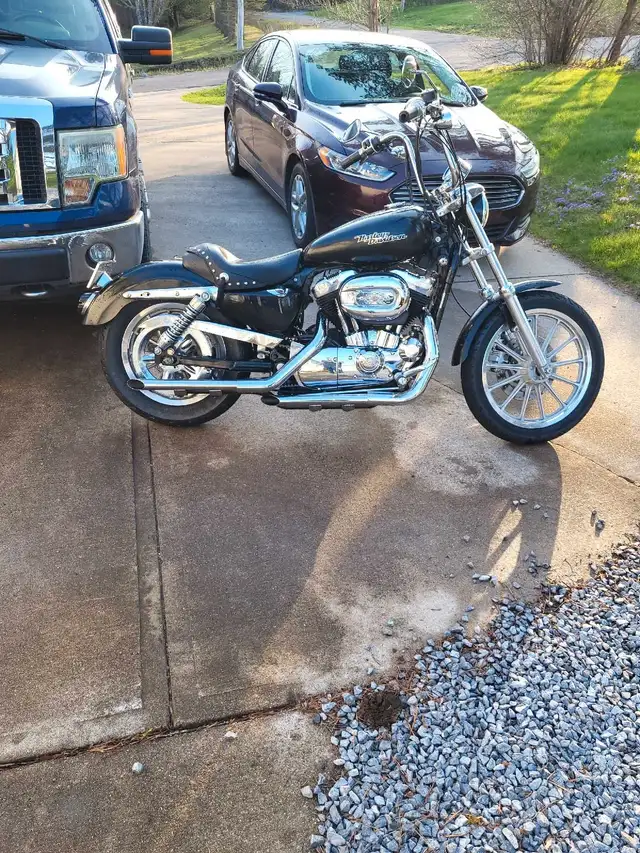 2006 Harley-Davidson sportster  low km in Street, Cruisers & Choppers in Saint John - Image 2