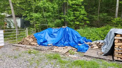 Firewood - Split & Seasoned Lively, View more