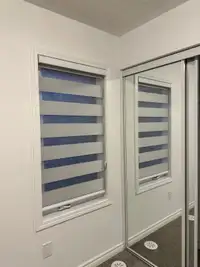 Motorized Zebra blinds 