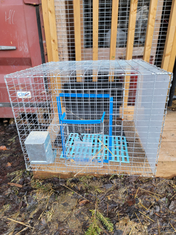 Rabbit cages in Livestock in Prince George