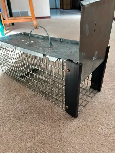 Cage traps in good condition. Cash only, offers accepted. $15 for small size. $25 for large size.