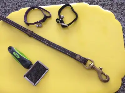 Plusieurs Items pour chien ou chat: 1 accroche-chien, 2 colliers de chat $2.50 chaque ou $5.00 pour...