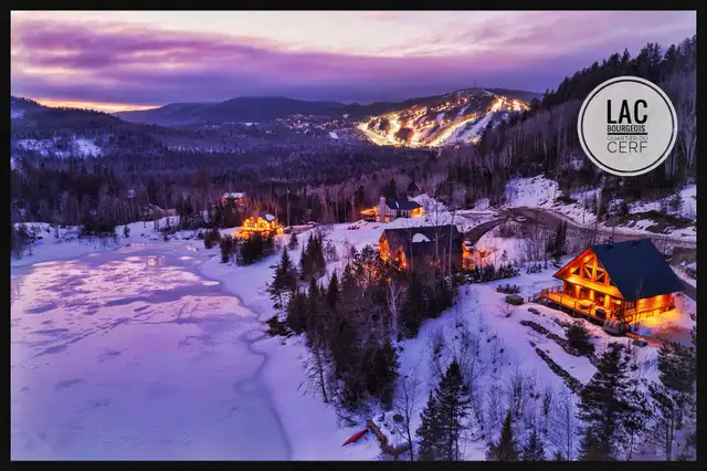 CITQ 317272 - Chalet LANIAKEA in Quebec in Canada - Image 3