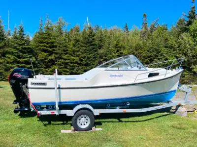 Boat/Outboard Motor/Trailer For Sale