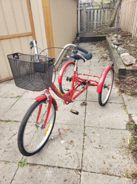 Three wheel adult bike