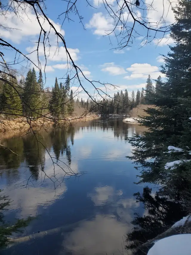 Solitude Glamping in the middle of Muskoka bush! in Ontario in Canada - Image 2