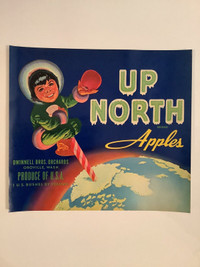 Up North, Homer, Co-Ed etc. Vintage Fruit Crate Labels ( 11 ) 