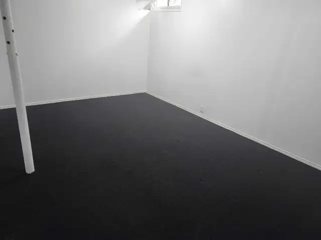 Working female only.  Large room in Basement for Rent in Room Rentals & Roommates in Ottawa - Image 5