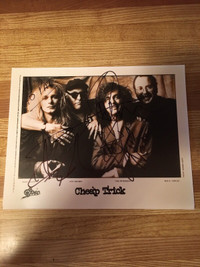 Record Album Vinyl LP-AUTOGRAPH-CHEAP TRICK