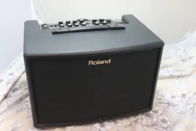Roland AC-60 – Acoustic Chorus Guitar Amplifier W/ Carry (#6270), View more