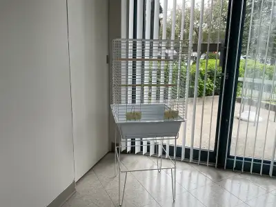 Cage à vendre., View more