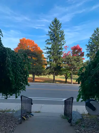Spacious 1 bedroom apartment. 5-min drive from downtown Ottawa. Located in a quiet neighborhood surr...