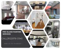 Pro Island Home Painting Services call today 9029780340
