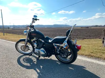 2013 Harley Davidson XL1200V Service just completed New battery Harley 2 up seat, sissy bar and pass...