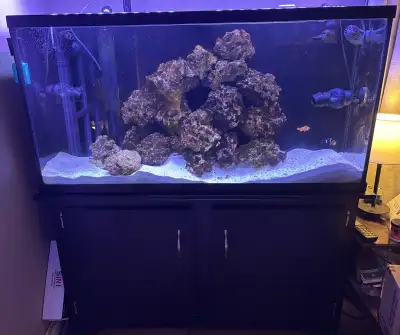 60 gallon aquarium with stand, View more