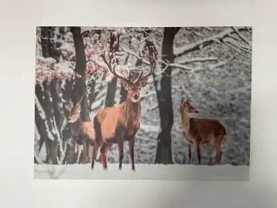 CADRE DÉCORATIF , View more