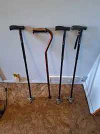 I have 4 canes for anyone that could use one