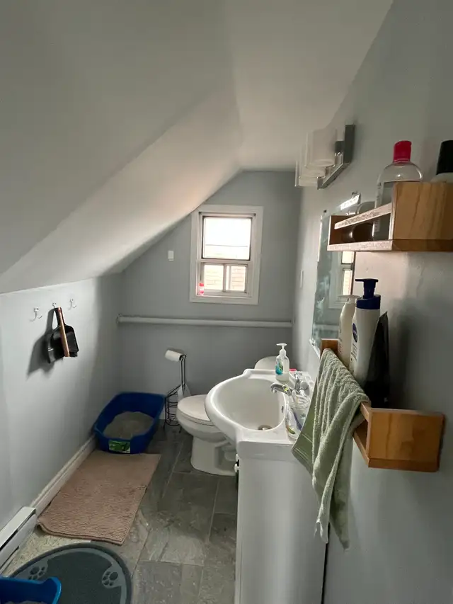 One room for rent in three-bedroom apartment in Long Term Rentals in Kitchener / Waterloo - Image 6