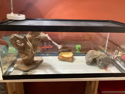 20 gallon Reptile Enclosure with locking lid Terrarium, View more