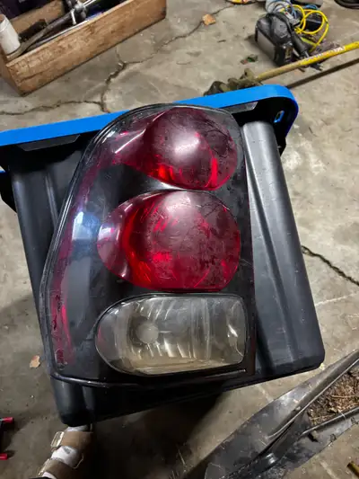 Taillight with the circuit board $20 OBO
