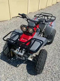 Yamaha 350 cc ATV