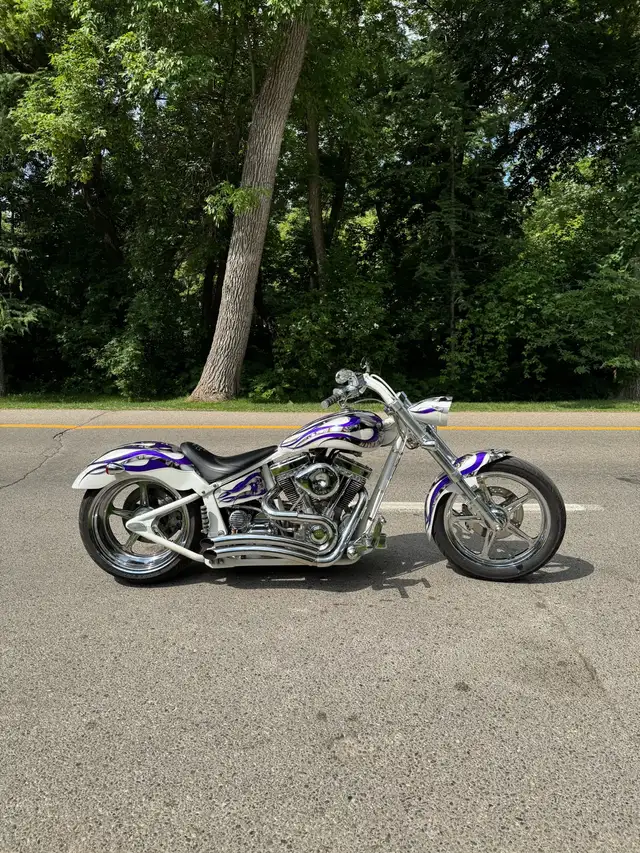 Titan Sidewinder Sturgis Edition in Street, Cruisers & Choppers in Winnipeg - Image 9