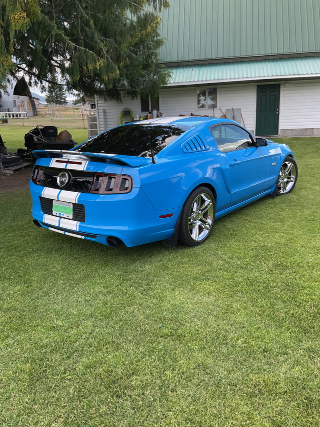 2014 Mustang GT 5.0 in Cars & Trucks in Penticton