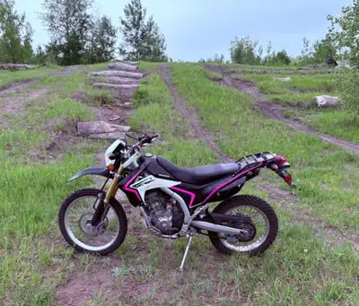 Dual sport. Lower seat, hand guards, engine shield, memory foam seat. Street tires. Dirt tires. Exce...