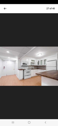3 bedroom separate furnished basement 