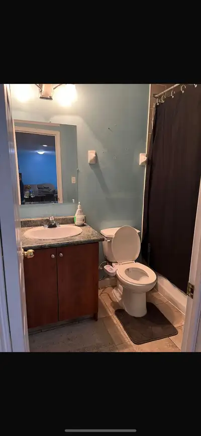 basement sharing room available