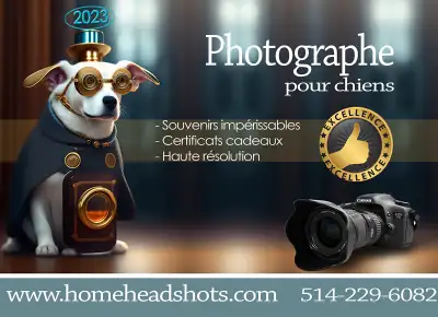 Vous cherchez un photographe animalier professionnel pour immortaliser votre chien ? Nous avons ce q...