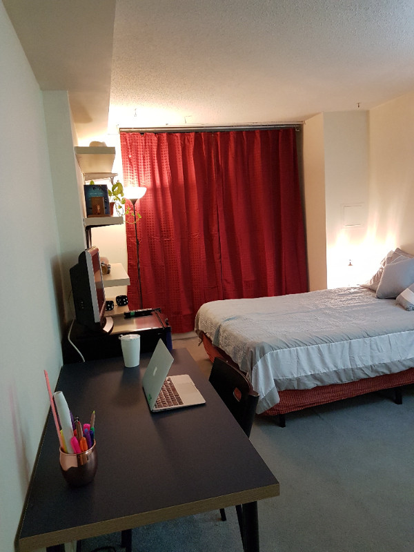 Spacious furnished room  for work/study downtown in Room Rentals & Roommates in City of Toronto - Image 4