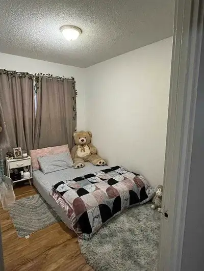room for rent