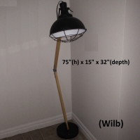 Floor Lamp - Structube Perri Floor Lamp, Black, 75(h) x 15 x 32